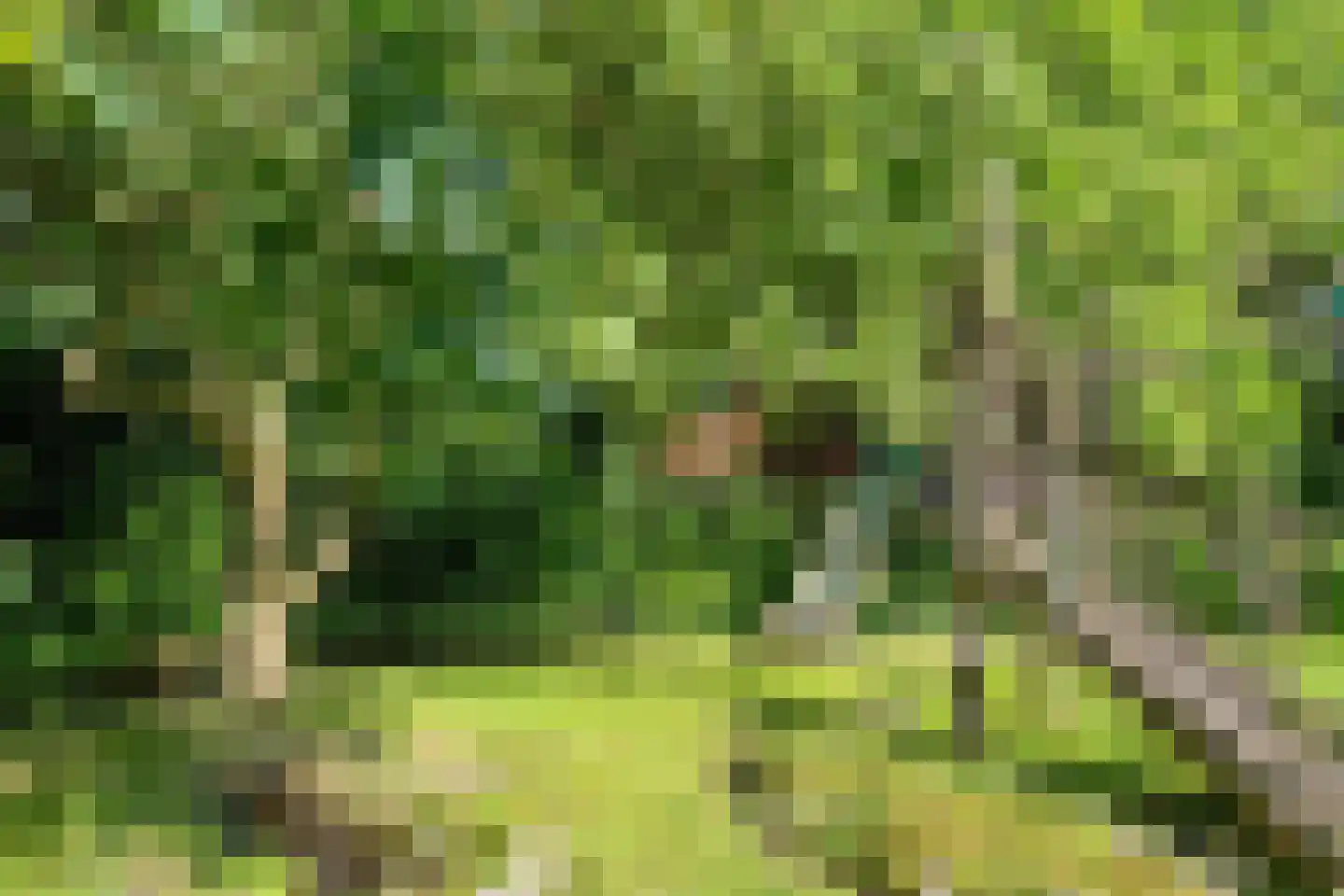Deense Hoek 16 Lieshout thumbnail 66