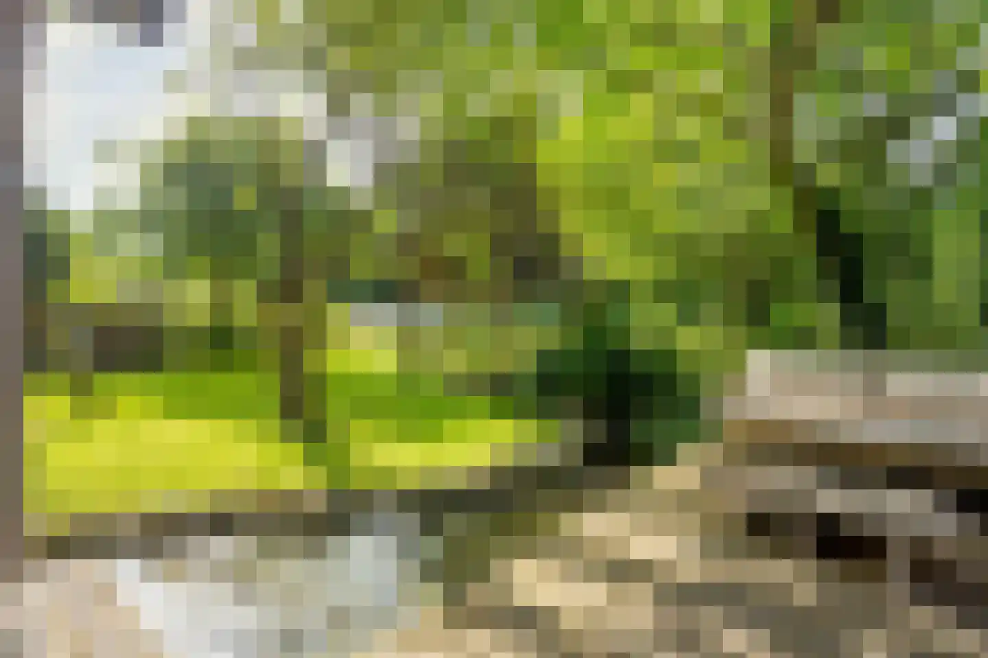 Deense Hoek 16 Lieshout thumbnail 67