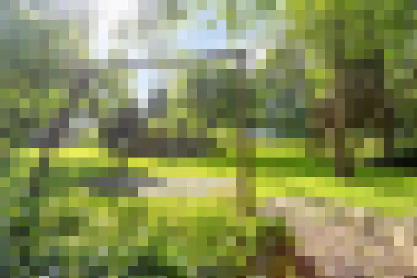 Deense Hoek 16 Lieshout thumbnail 68