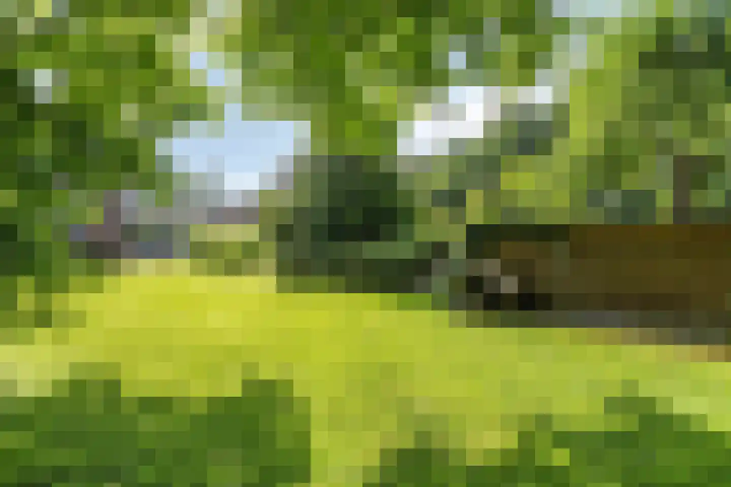 Deense Hoek 16 Lieshout thumbnail 69