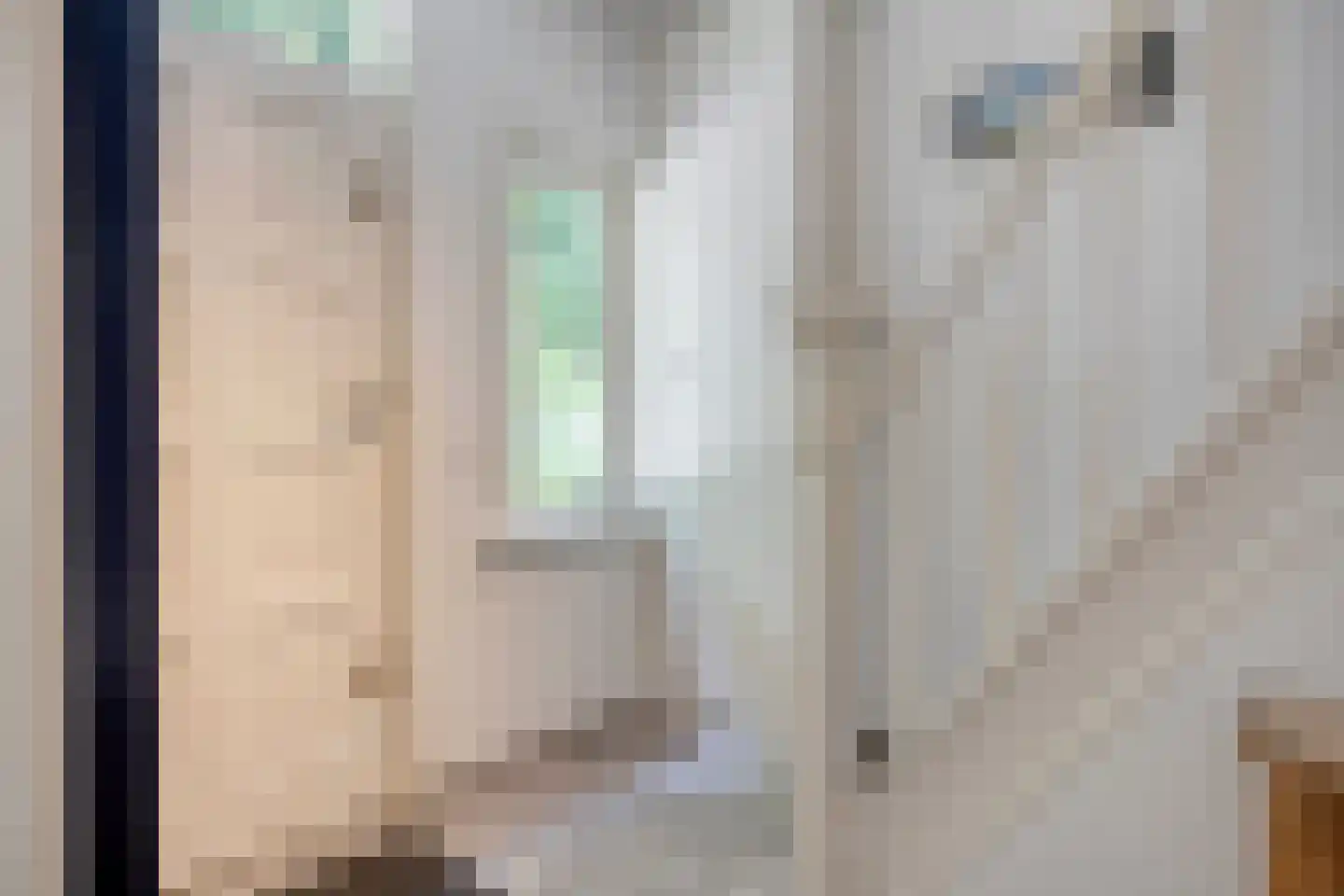 Deense Hoek 16 Lieshout thumbnail 7