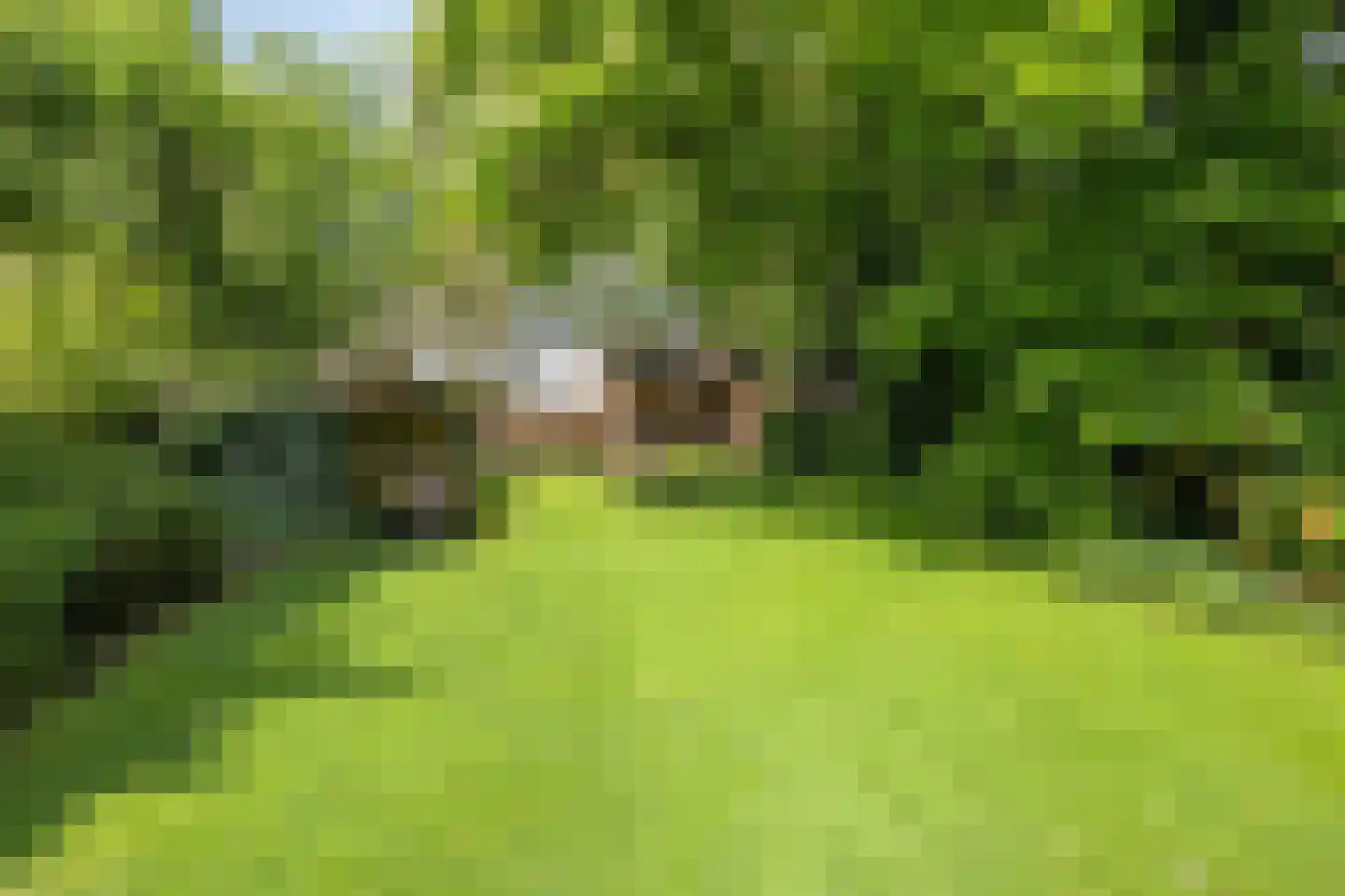 Deense Hoek 16 Lieshout thumbnail 70