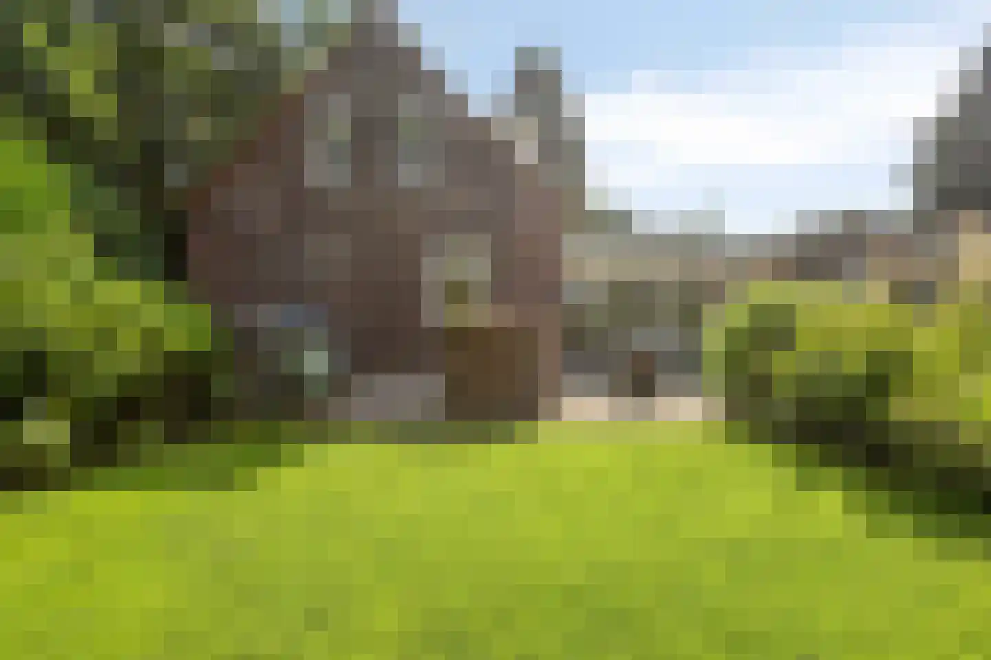 Deense Hoek 16 Lieshout thumbnail 71