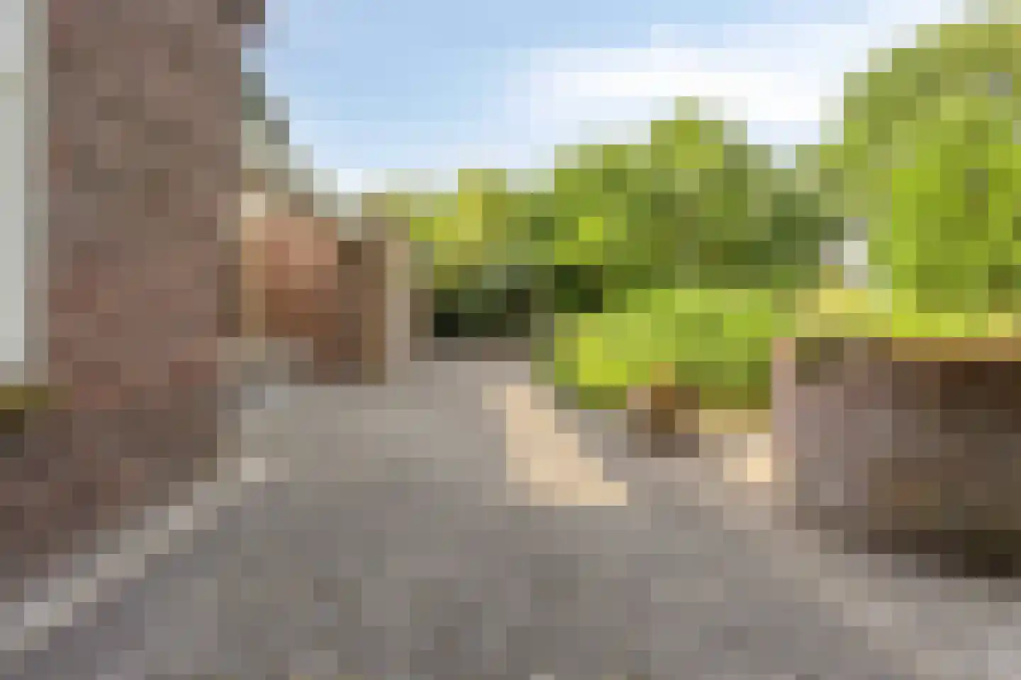 Deense Hoek 16 Lieshout thumbnail 73