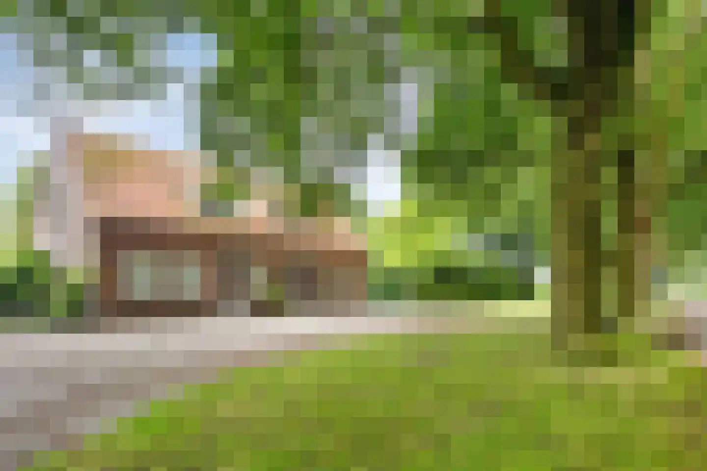 Deense Hoek 16 Lieshout thumbnail 74