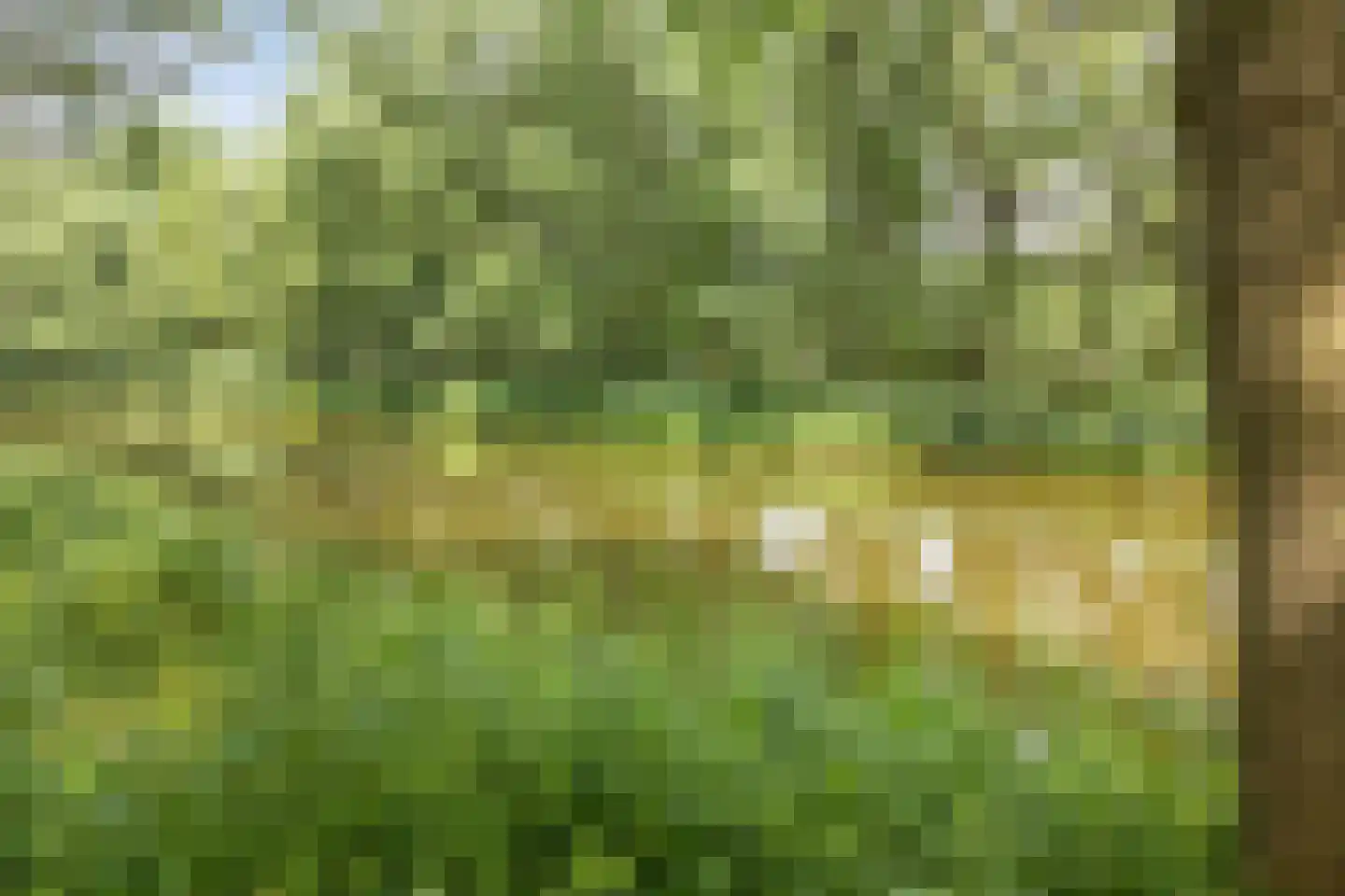 Deense Hoek 16 Lieshout thumbnail 75