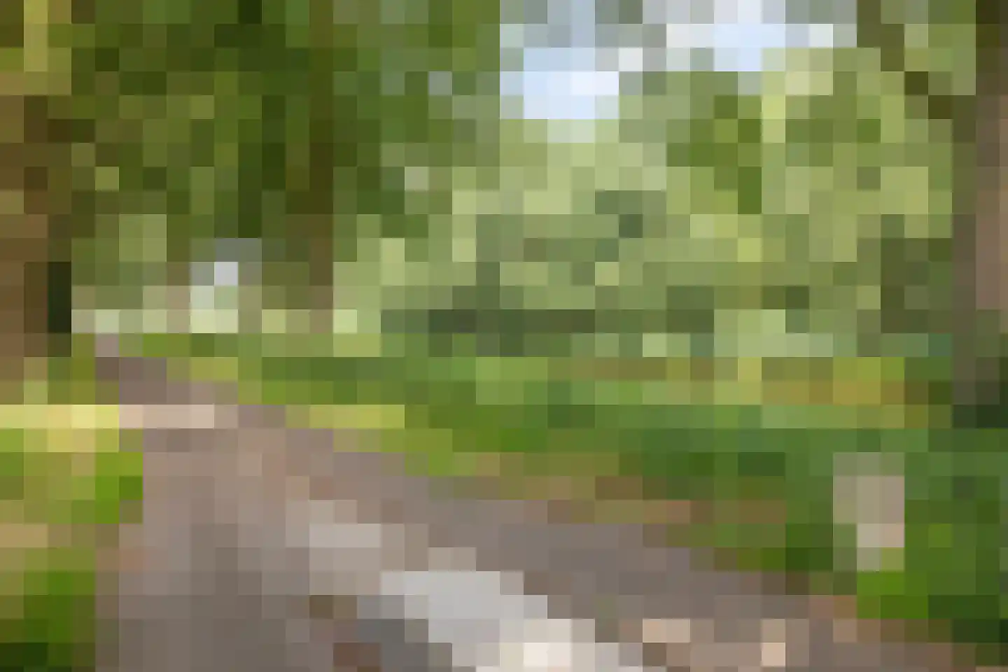Deense Hoek 16 Lieshout thumbnail 76