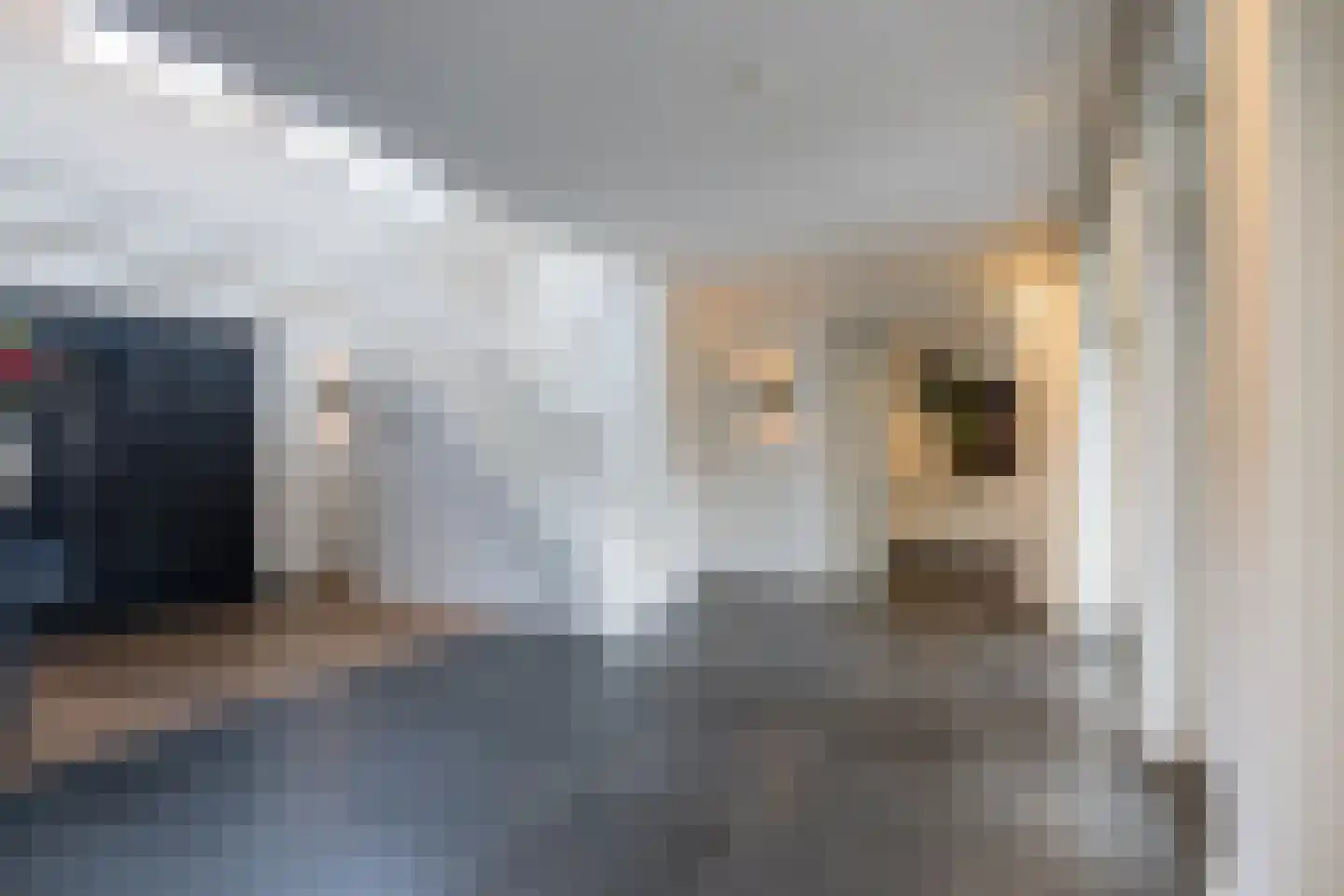 Deense Hoek 18 Lieshout thumbnail 16
