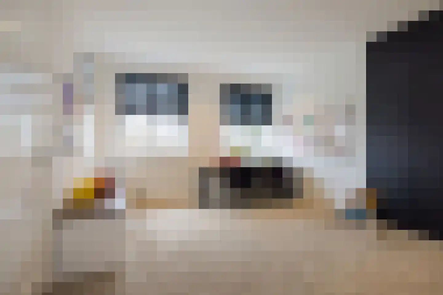 Deense Hoek 18 Lieshout thumbnail 22