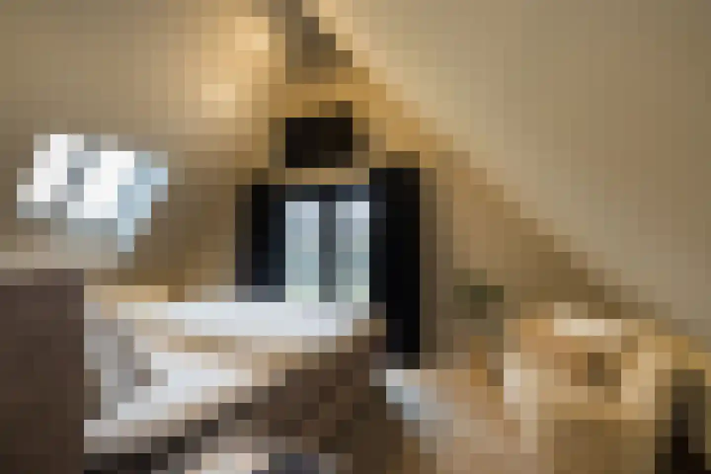 Deense Hoek 18 Lieshout thumbnail 30