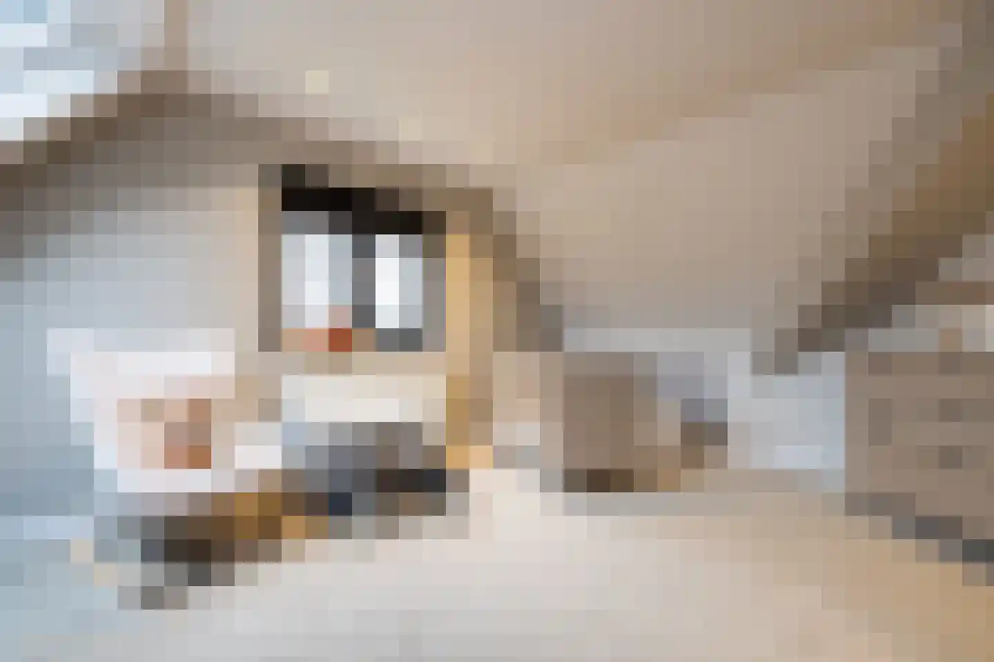 Deense Hoek 18 Lieshout thumbnail 37