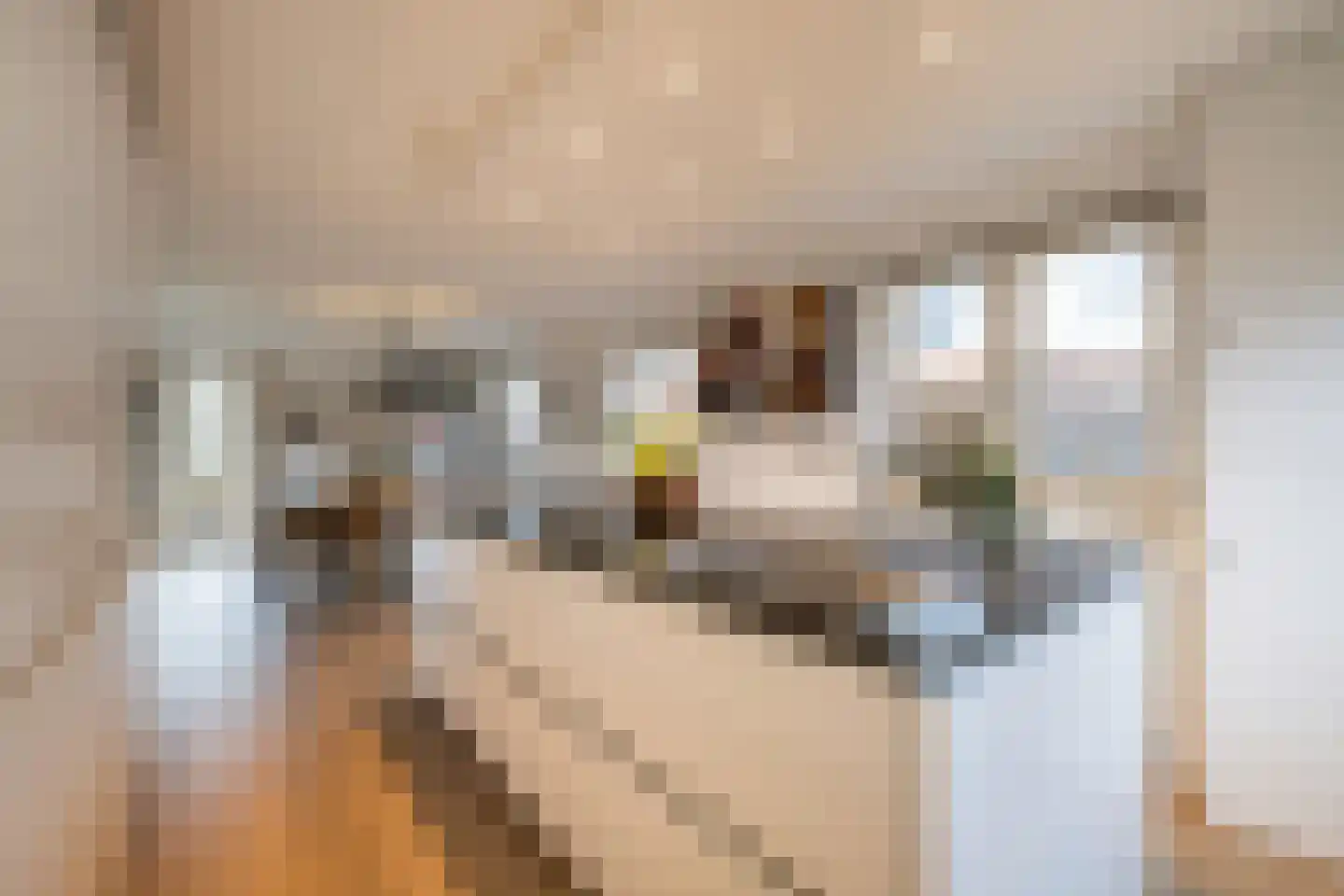 Deense Hoek 18 Lieshout thumbnail 45