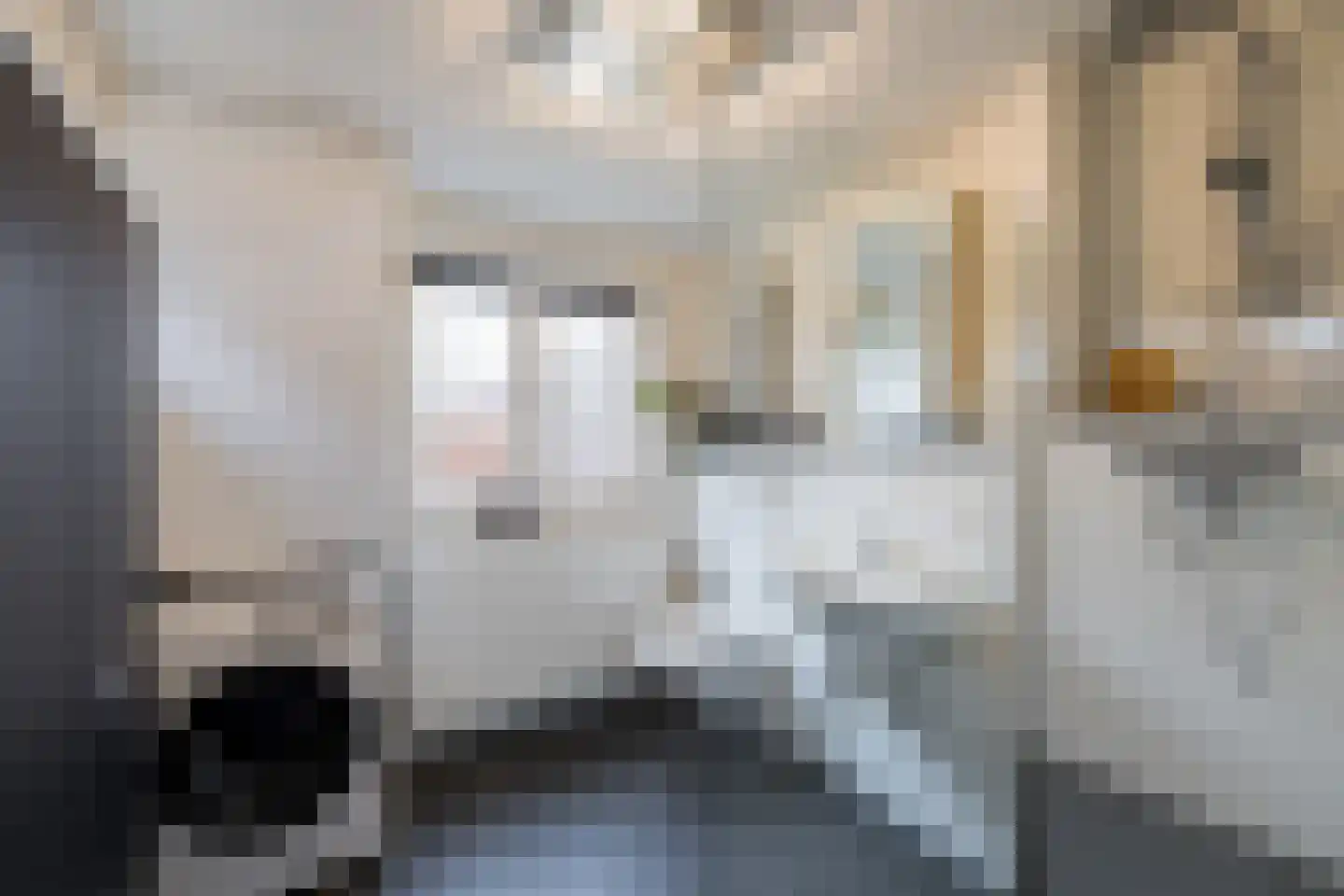 Deense Hoek 18 Lieshout thumbnail 48