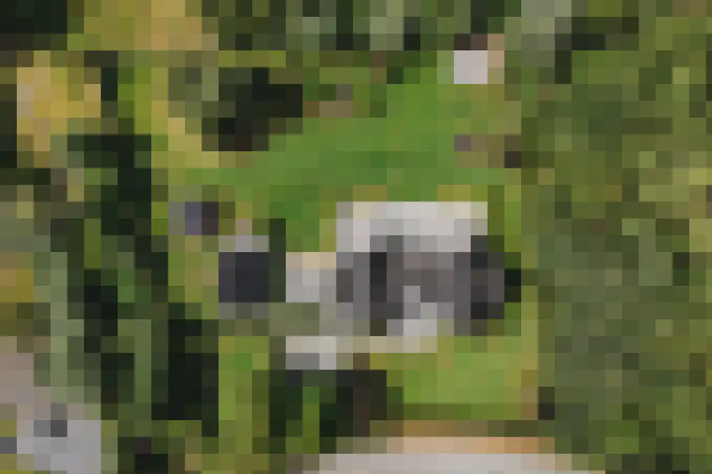 Deense Hoek 18 Lieshout thumbnail 5