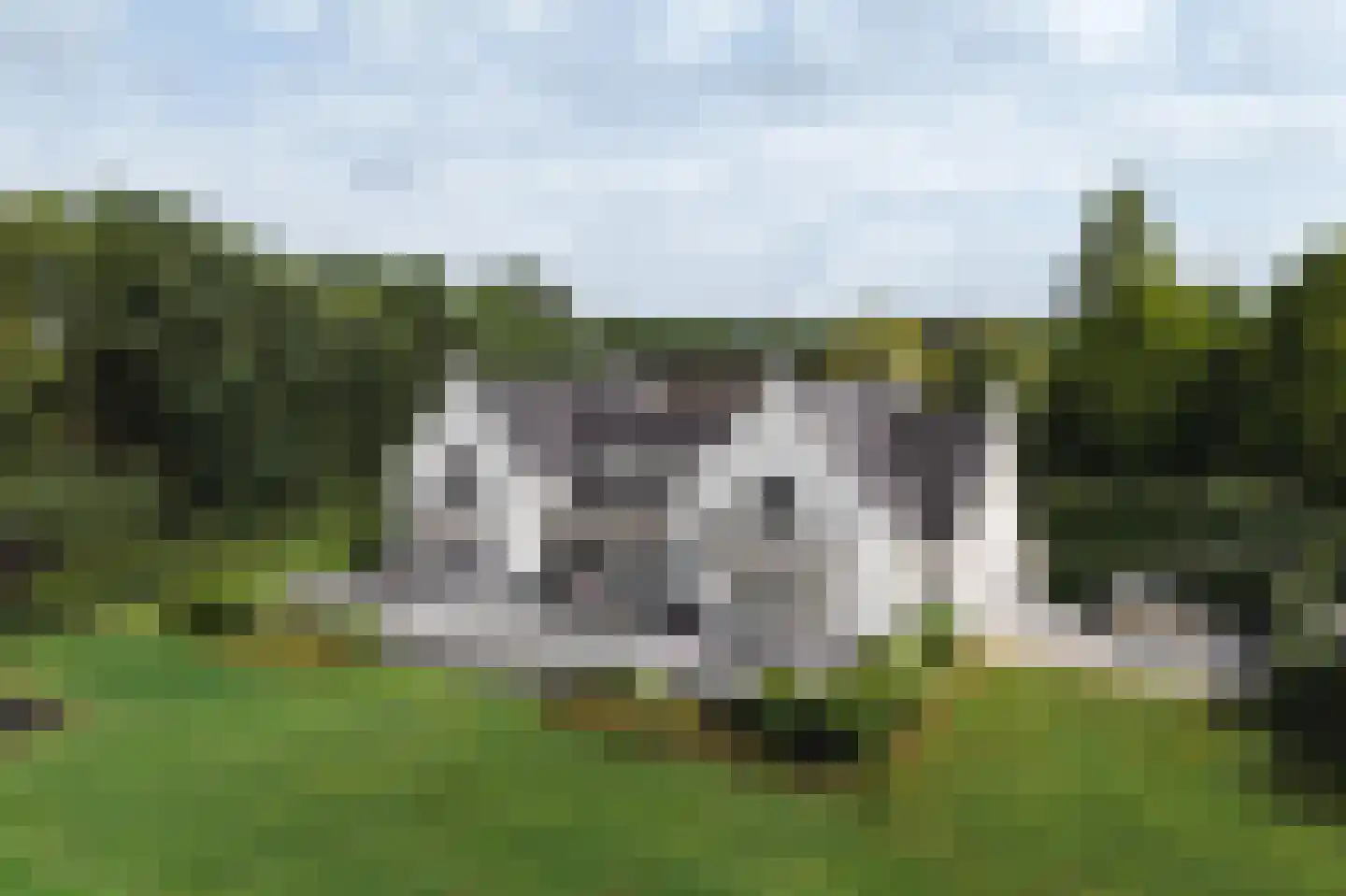 Deense Hoek 18 Lieshout thumbnail 50