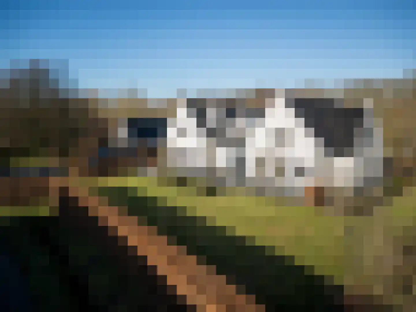 Deense Hoek 18 Lieshout thumbnail 50