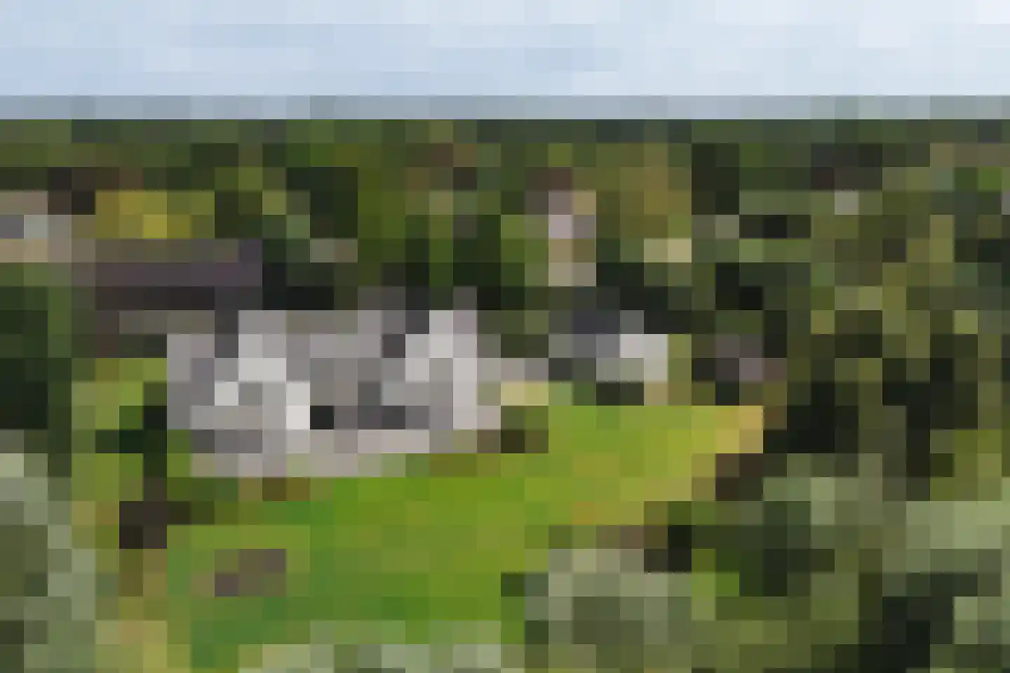Deense Hoek 18 Lieshout thumbnail 51