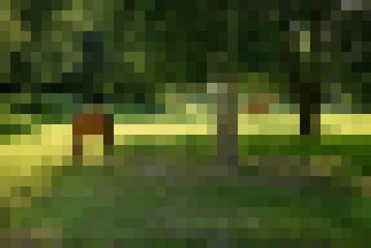 Deense Hoek 18 Lieshout thumbnail 55