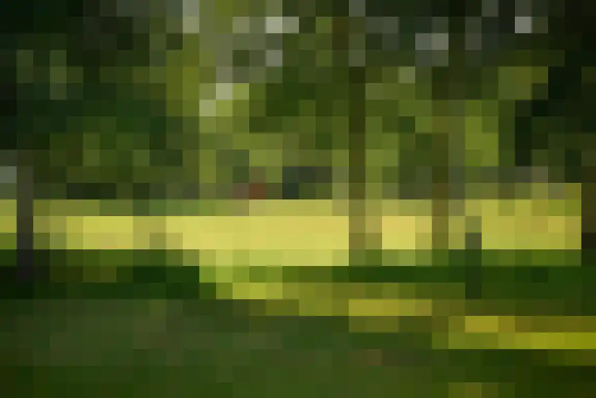Deense Hoek 18 Lieshout thumbnail 56