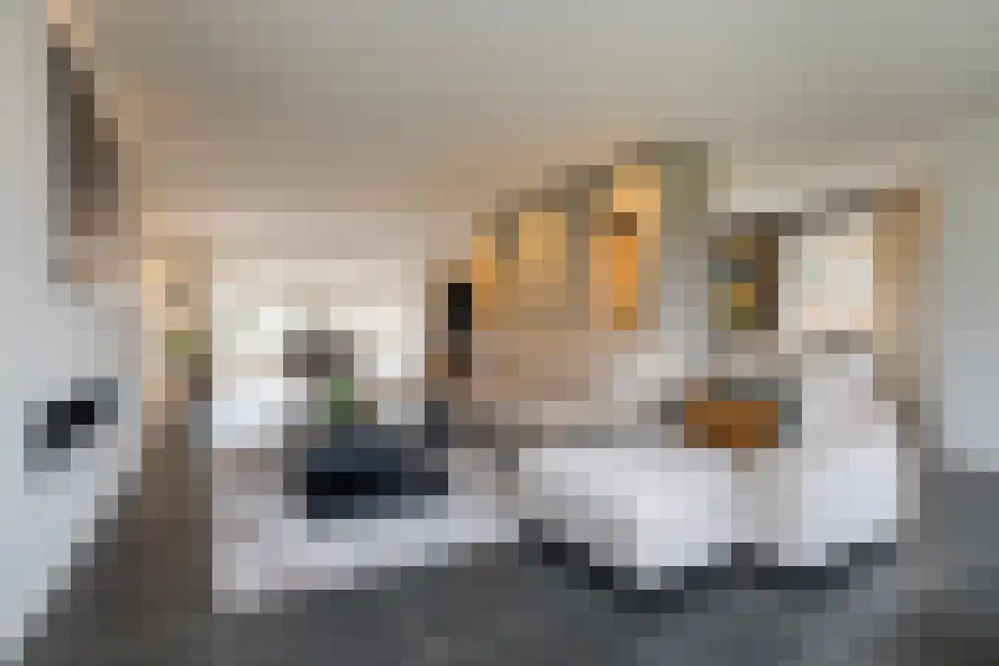 Deense Hoek 18 Lieshout thumbnail 6