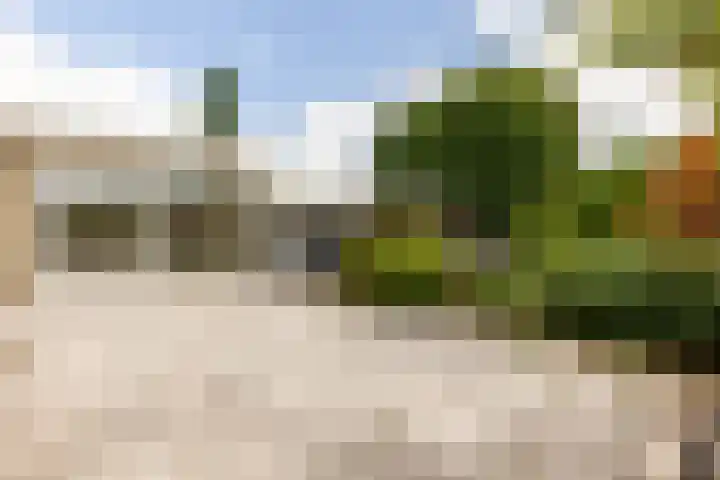 Deensestraat 21 Nieuwerkerk aan den IJssel thumbnail 11