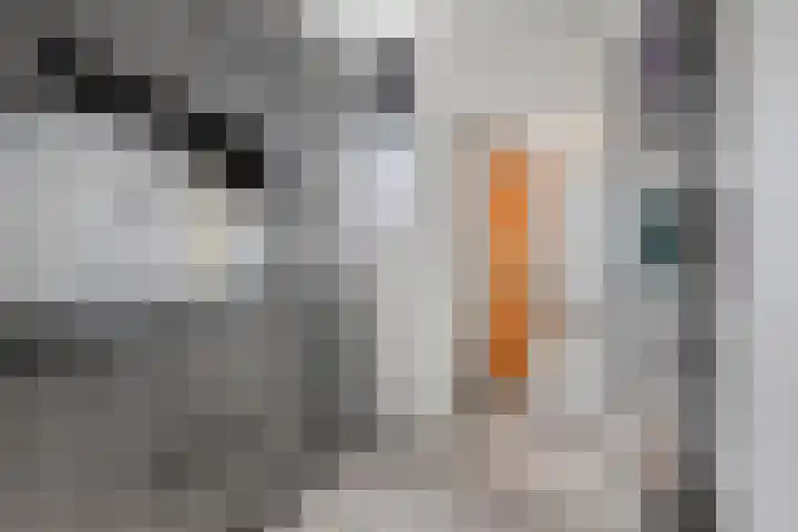 Deensestraat 28 Sint Philipsland thumbnail 17