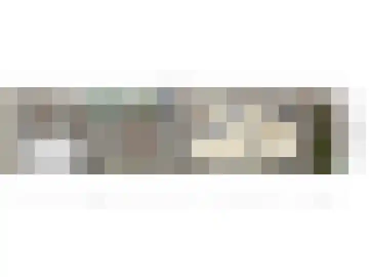 Deensestraat 28 Sint Philipsland thumbnail 20