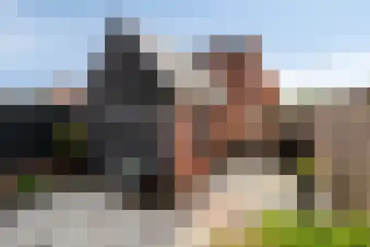 Deensestraat 28 Sint Philipsland thumbnail 37