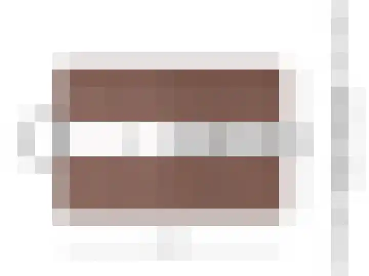 Deensestraat 28 Sint Philipsland thumbnail 39