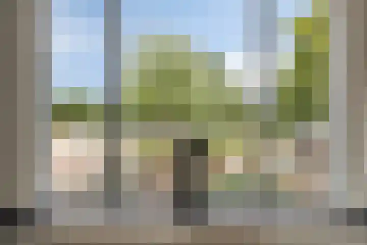 Deensestraat 28 Sint Philipsland thumbnail 8