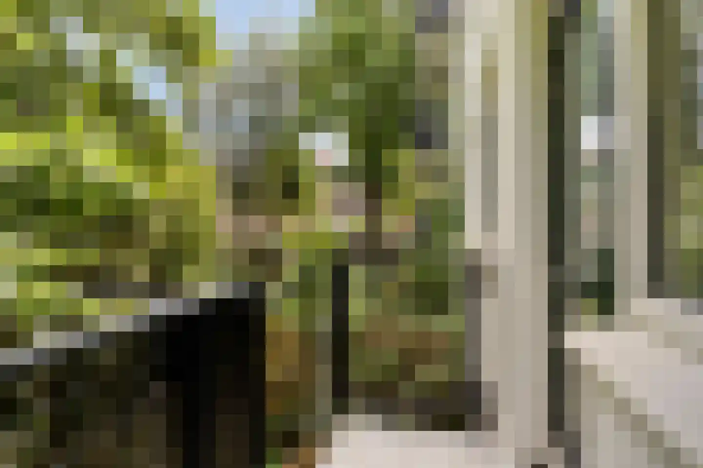 Deensestraat 34 A Rotterdam thumbnail 13