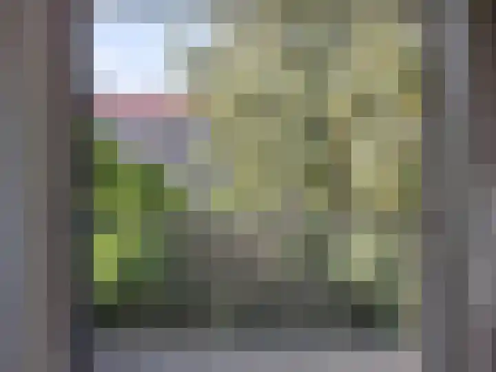 Deensestraat 37 A Rotterdam thumbnail 6