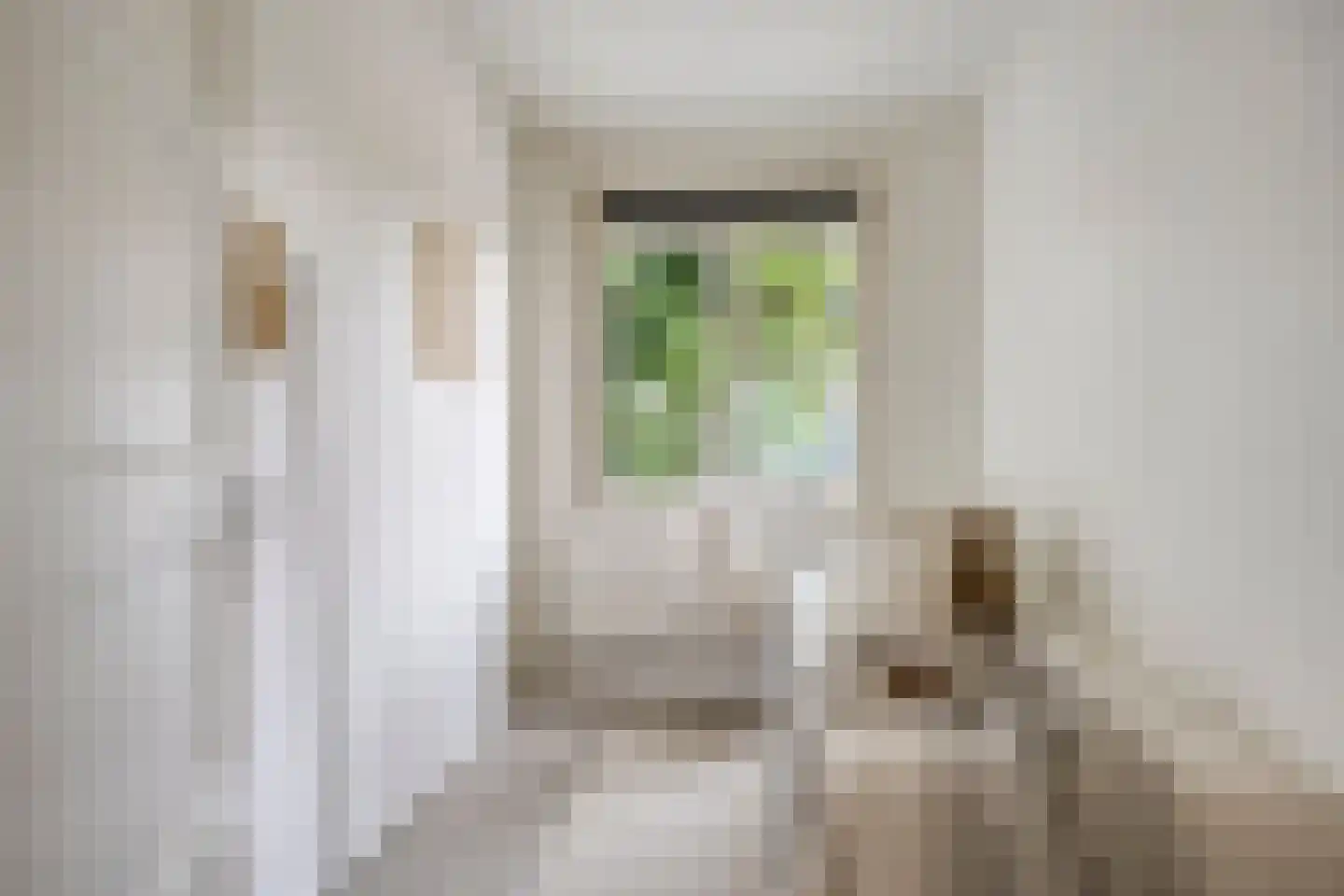 Deensestraat 40 B Rotterdam thumbnail 10