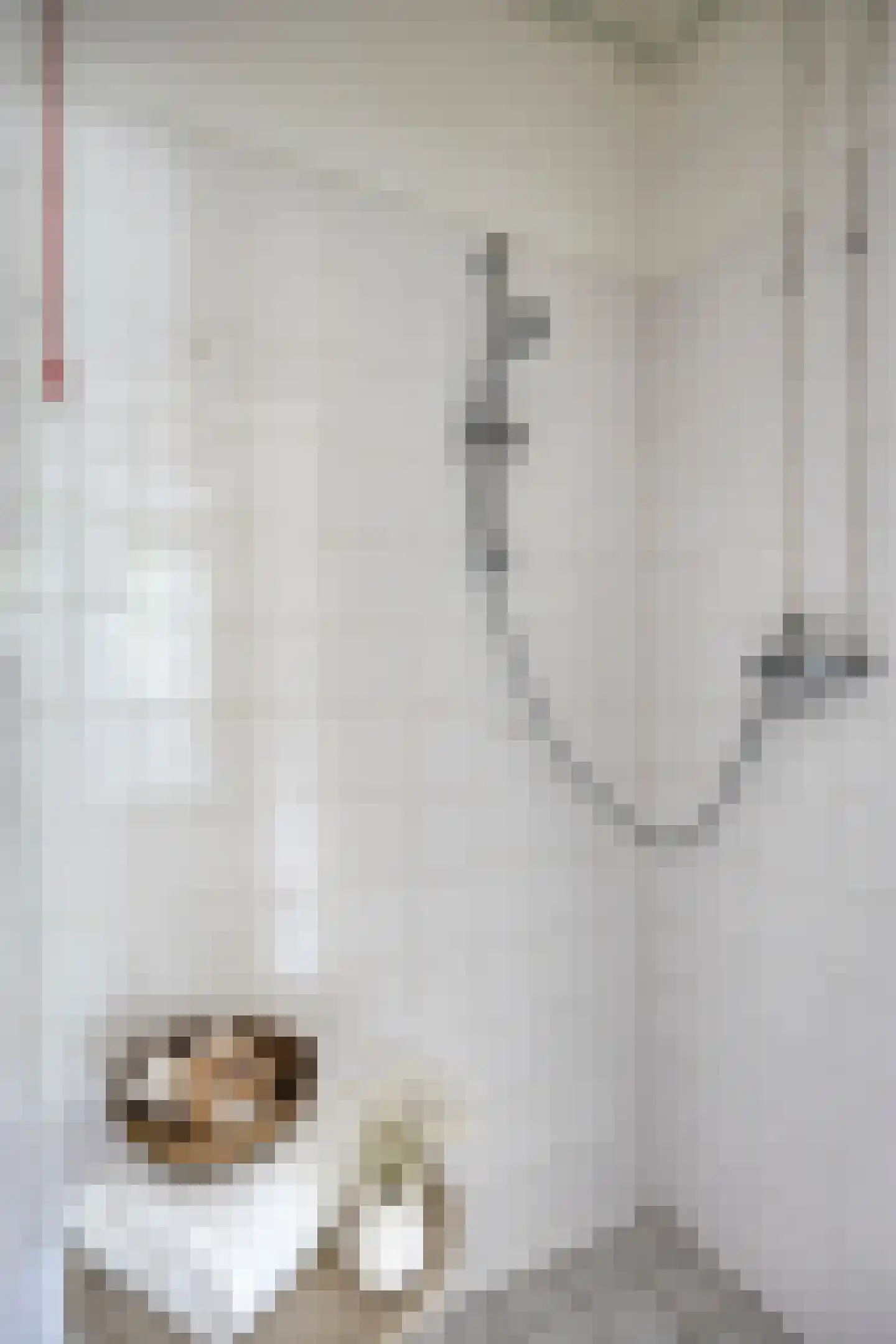 Deensestraat 40 B Rotterdam thumbnail 12