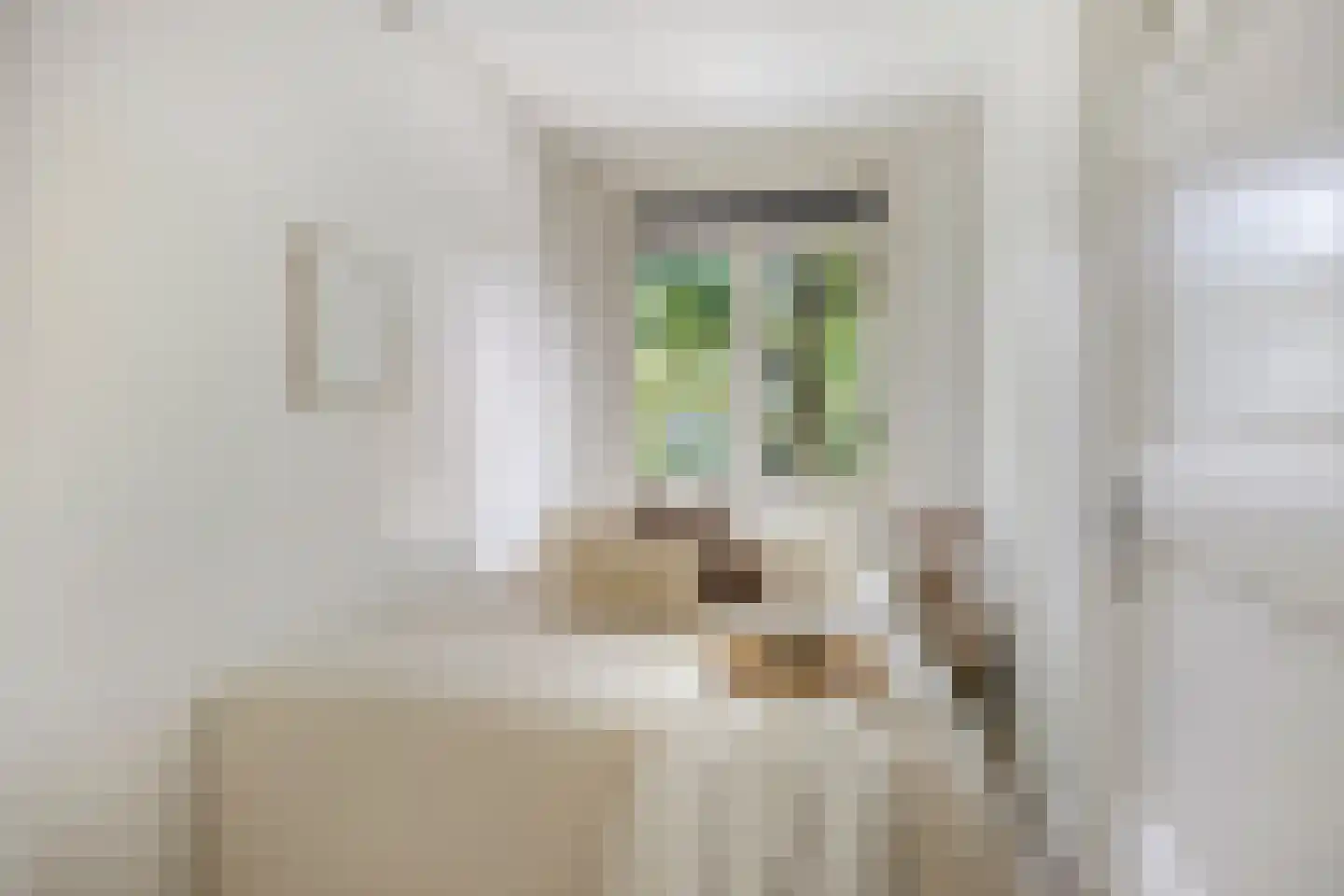 Deensestraat 40 B Rotterdam thumbnail 13