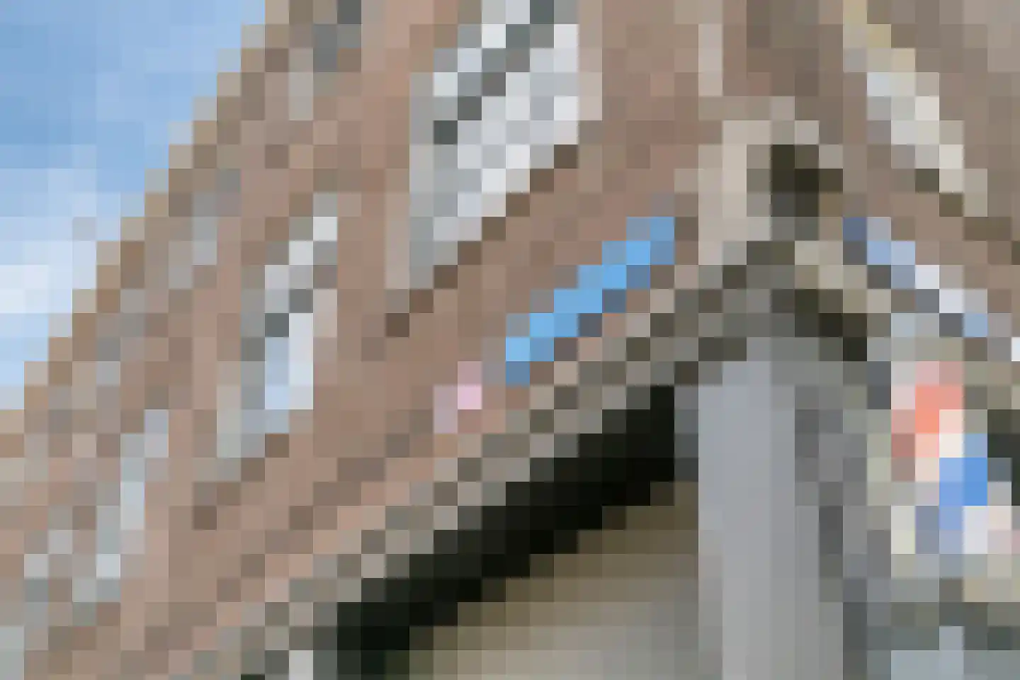 Deensestraat 5 B Rotterdam thumbnail 26