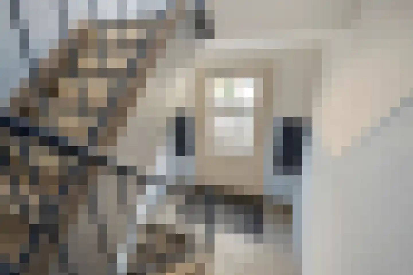Deensestraat 5 B Rotterdam thumbnail 30