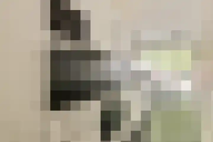 Deensestraat 59 A Rotterdam thumbnail 10
