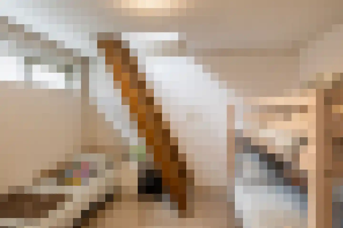Deensestraat 62 C Rotterdam thumbnail 12