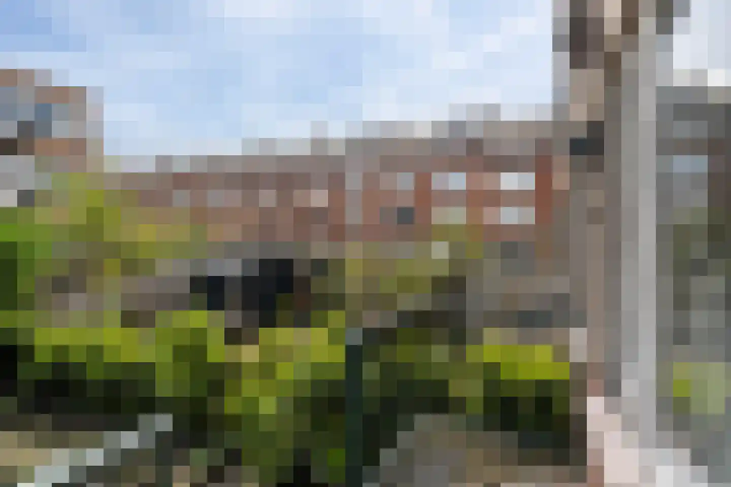 Deensestraat 62 C Rotterdam thumbnail 5