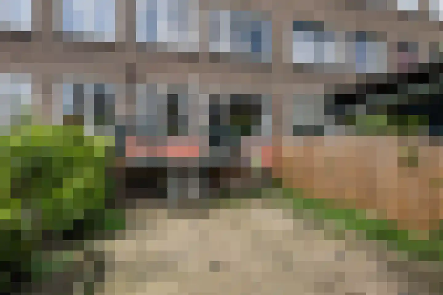 Deensestraat 62 C Rotterdam thumbnail 6