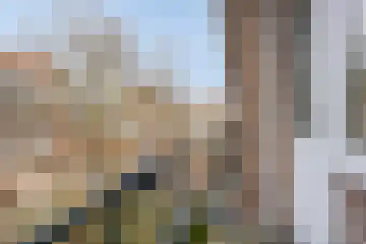 Deensestraat 7 C Rotterdam thumbnail 22