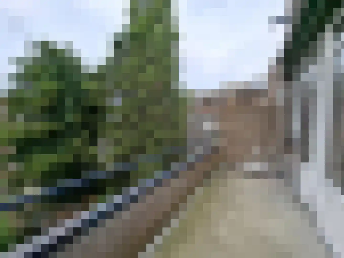 Deensestraat 71 A Rotterdam thumbnail 11