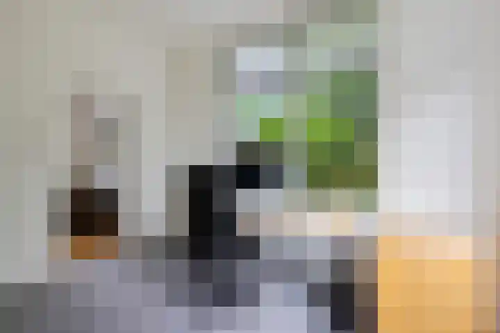 Deensestraat 93 B Rotterdam thumbnail 10