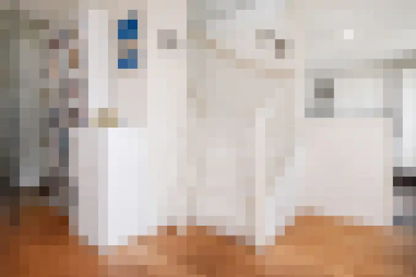 Deernsstraat 24 Voorburg thumbnail 29