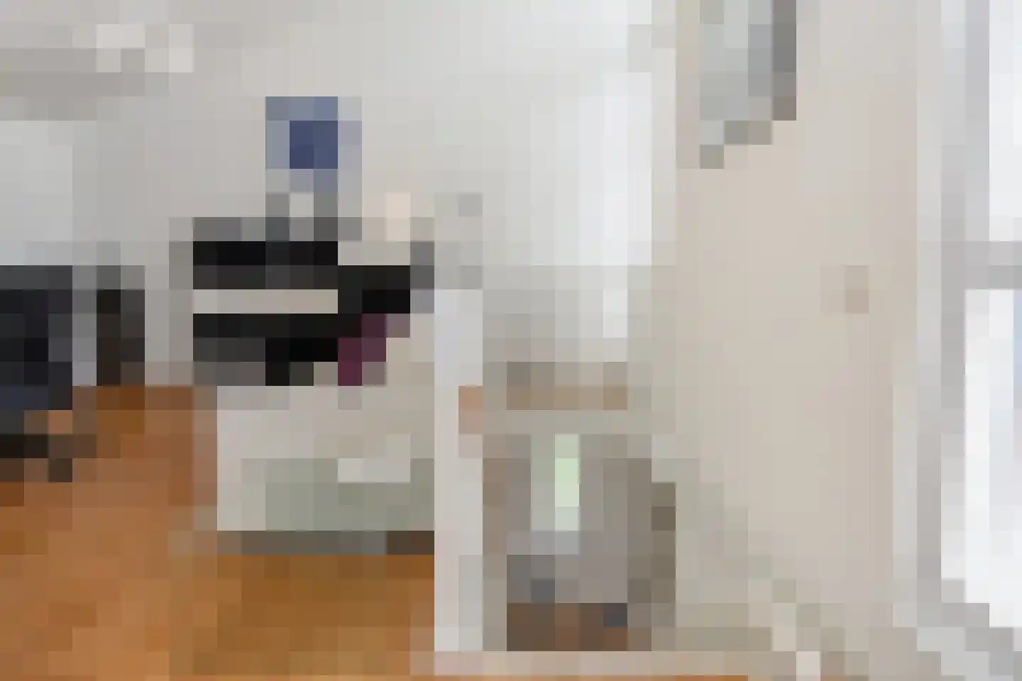 Deernsstraat 24 Voorburg thumbnail 31