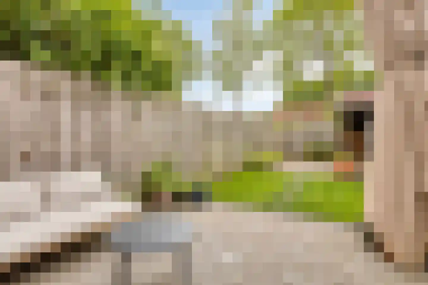 Deestraat 16 's-Heer Arendskerke thumbnail 26