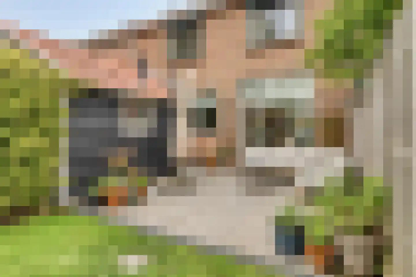 Deestraat 16 's-Heer Arendskerke thumbnail 28