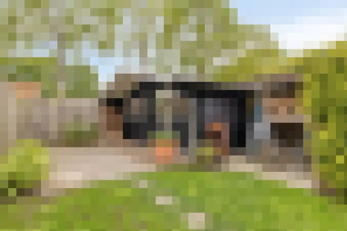 Deestraat 16 's-Heer Arendskerke thumbnail 30