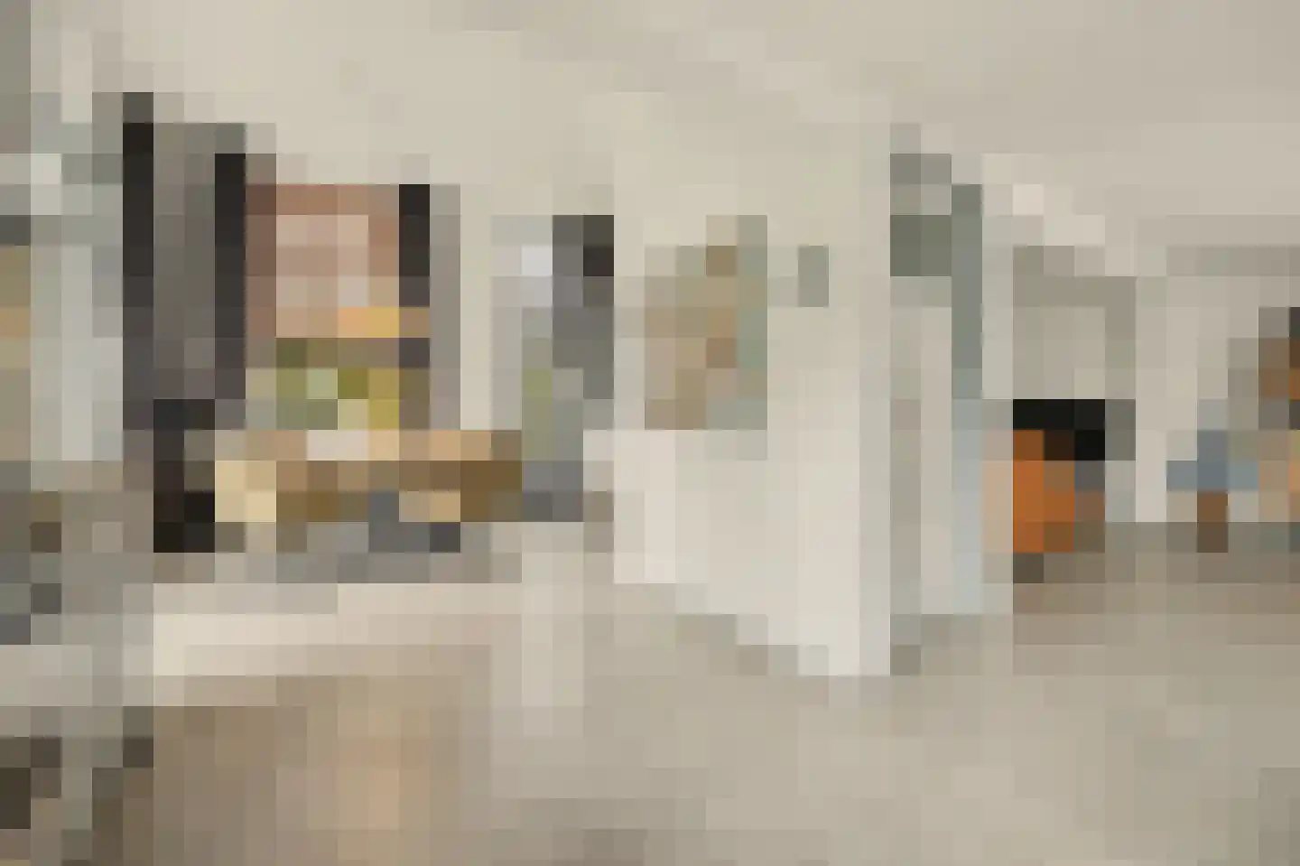 Deezijstraat 14 Bruinisse thumbnail 14
